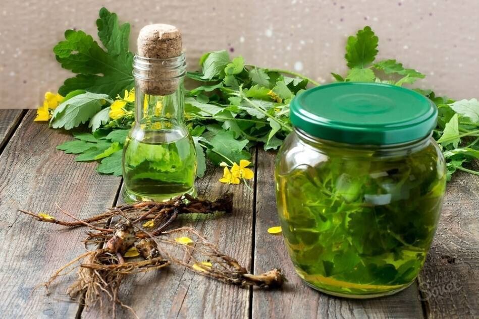 Tinktura celandina za glivice na nohtih